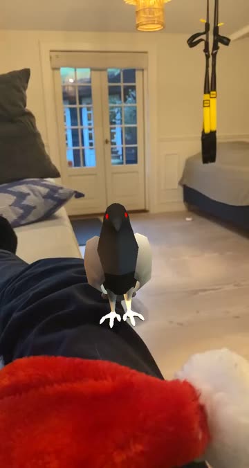 Preview for a Spotlight video that uses the Robot-Spy-Pigeon Lens