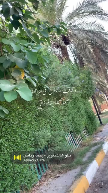 Preview for a Spotlight video that uses the 3BARAT Lens