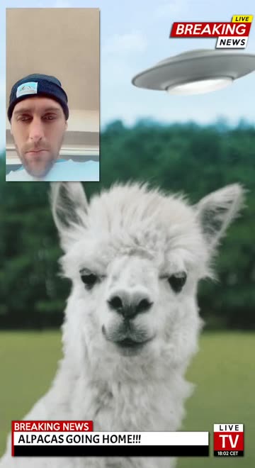 Preview for a Spotlight video that uses the Alpaca going home Lens