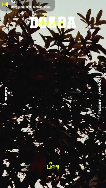 Preview for a Spotlight video that uses the Doaba - Punjab Lens