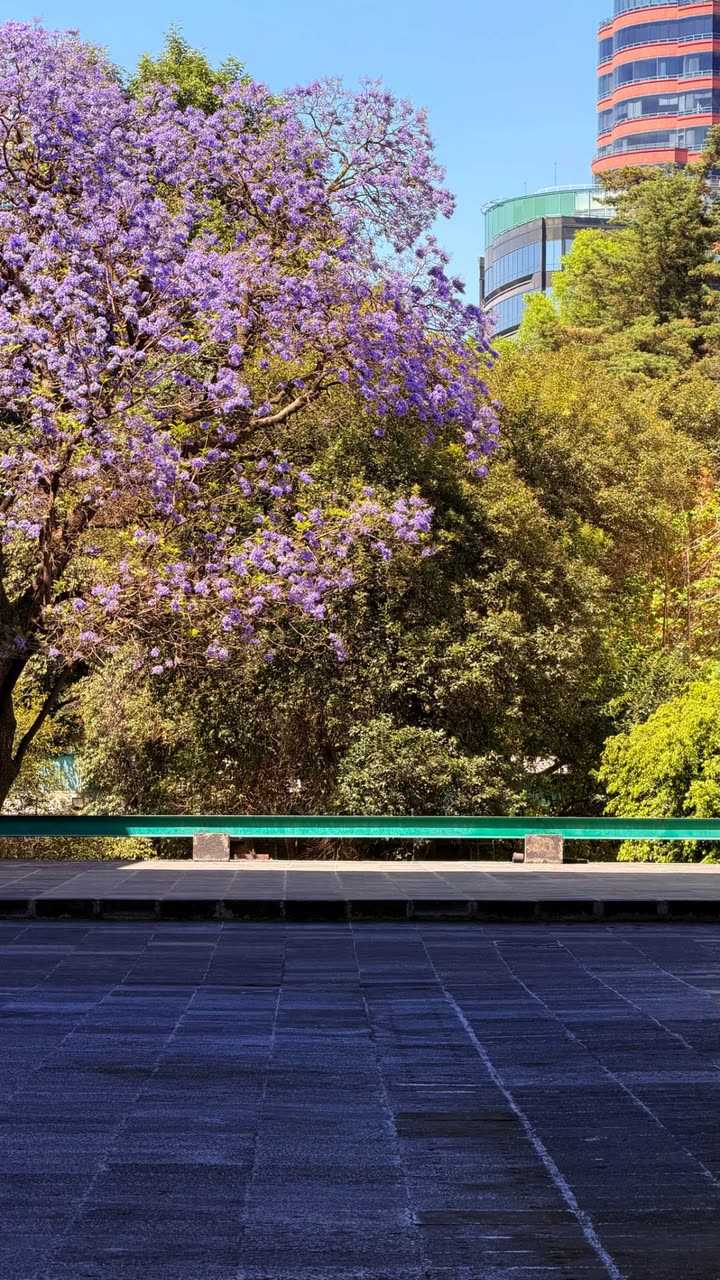 محتوى سناب شات لـ راكان الشايع