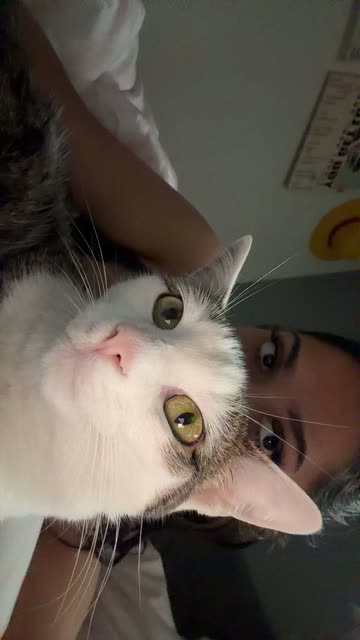 lanienunezz
