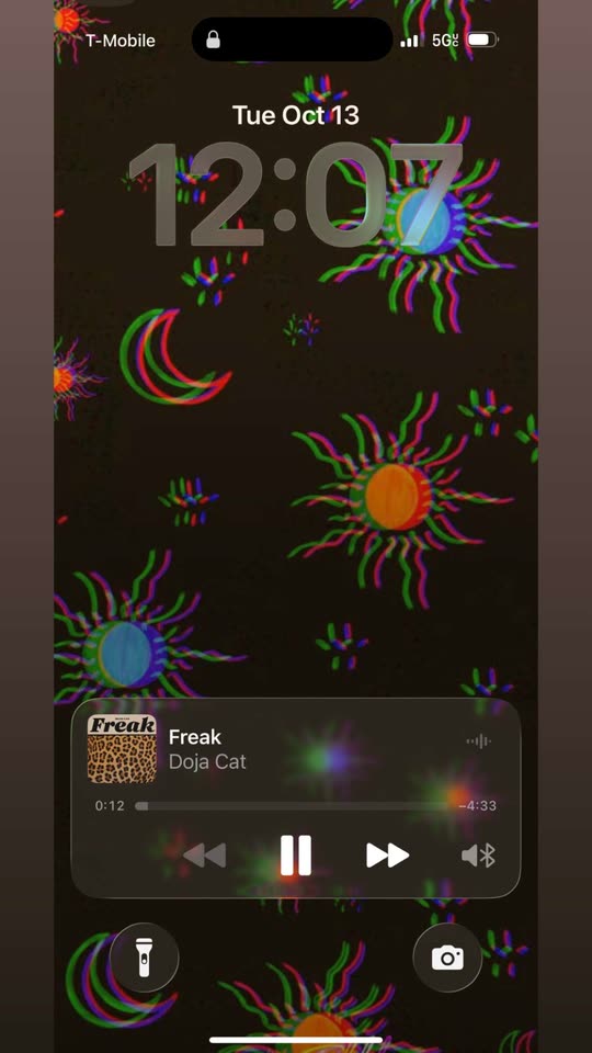 calico4311