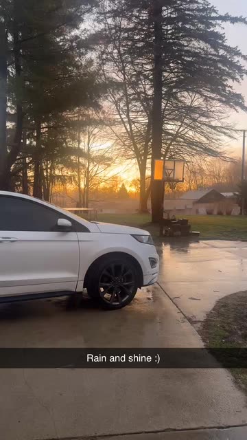 ali.hawk706