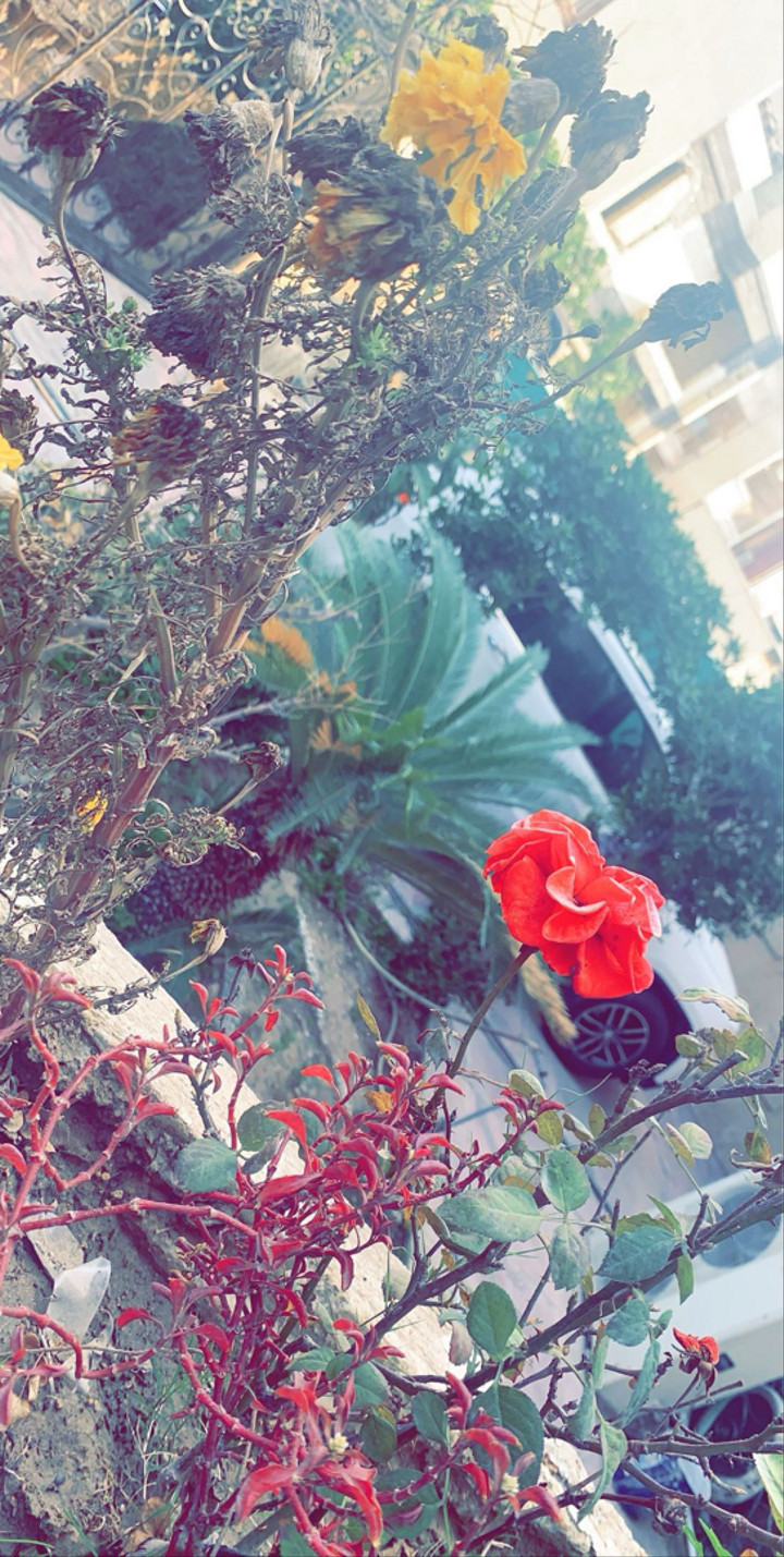 محتوى سناب شات لـ O_O