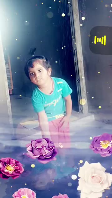 Preview for a Spotlight video that uses the Flowers Reflection Lens