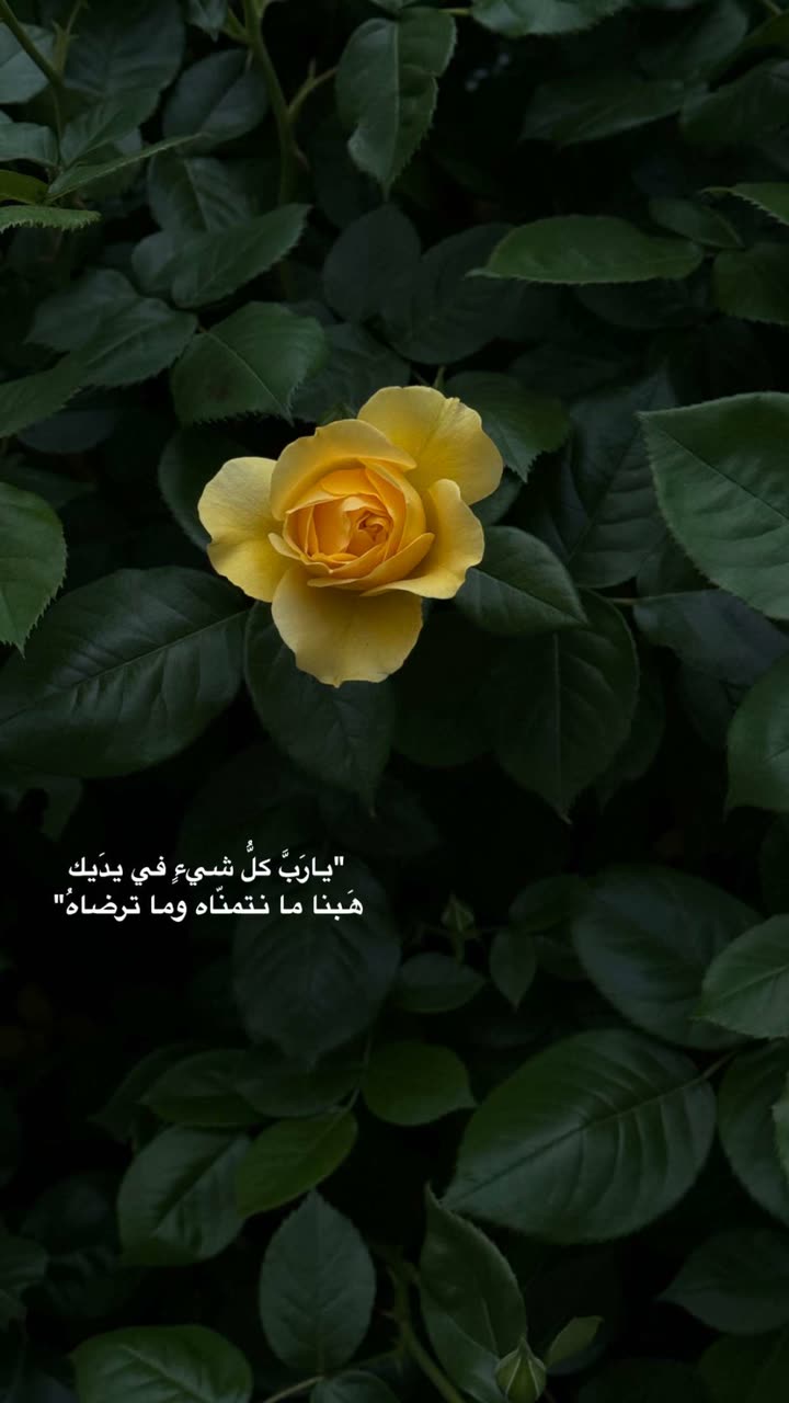 محتوى سناب شات لـ عفرا السويدي 🦋