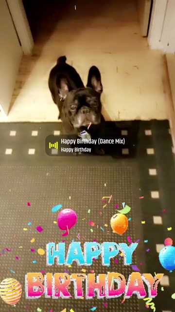 Preview for a Spotlight video that uses the Happy Birthday Lens