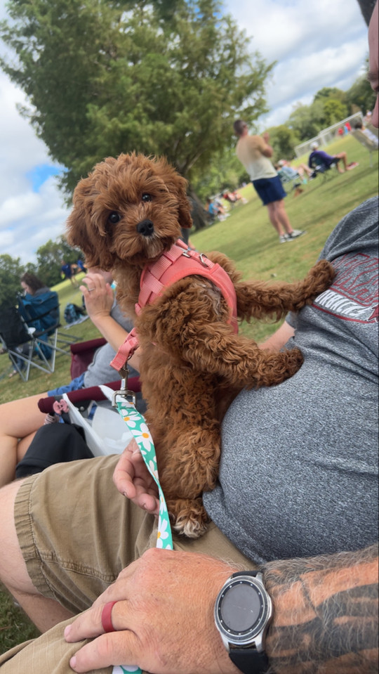 maddie-maries
