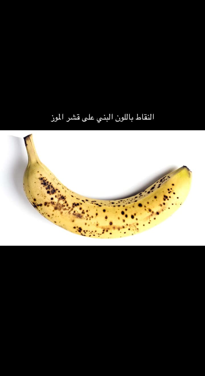 محتوى سناب شات لـ عمار العمار “DietsWiki"