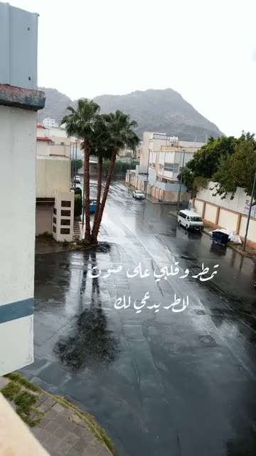 Preview for a Spotlight video that uses the rain phrases Lens