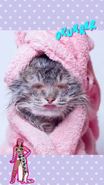 Preview for a Spotlight video that uses the Wet Cat Lens