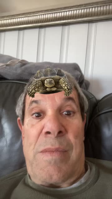 Preview for a Spotlight video that uses the tortoise on head Lens