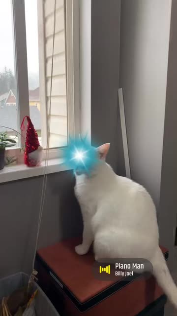 Preview for a Spotlight video that uses the Self Blue Lens
