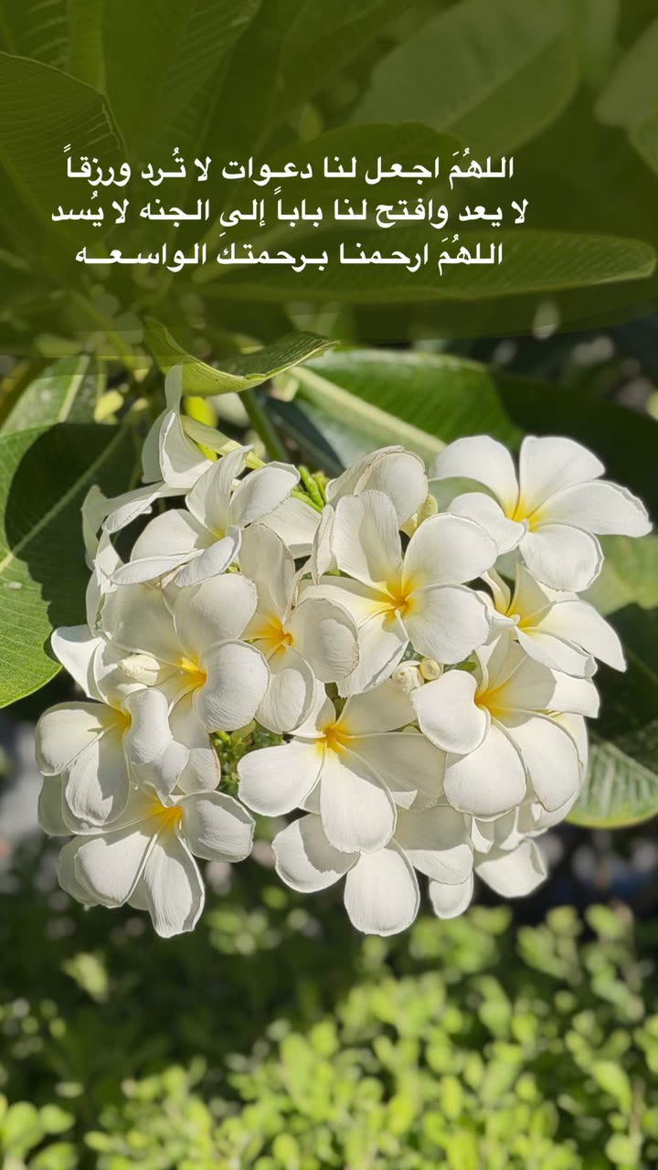 محتوى سناب شات لـ عفرا السويدي 🦋