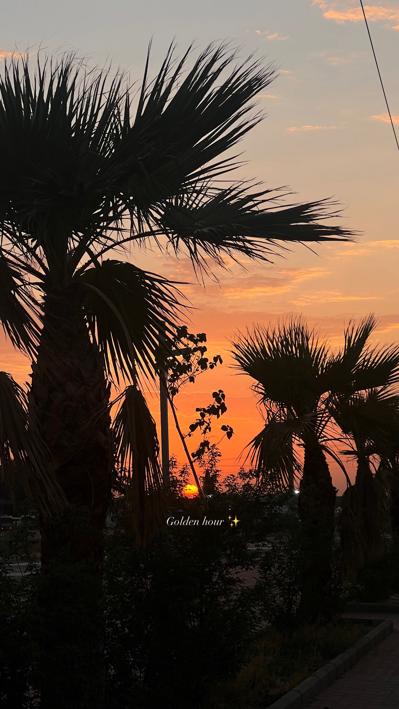 محتوى سناب شات لـ WEJDAN 👩🏻‍⚕️