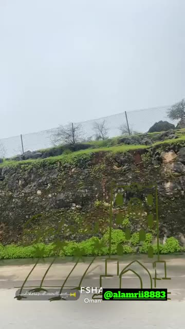 Preview for a Spotlight video that uses the salalah Lens