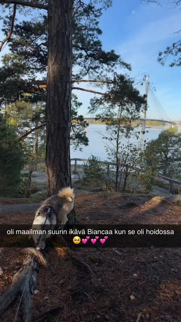 aurora.aasa