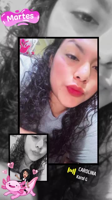 Preview for a Spotlight video that uses the Living Collages Lens
