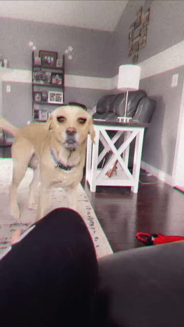 Preview for a Spotlight video that uses the Goth Makeup Lens