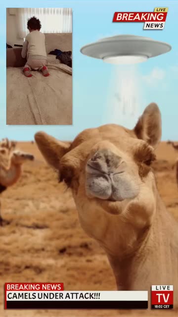 Preview for a Spotlight video that uses the Camel UFO Lens