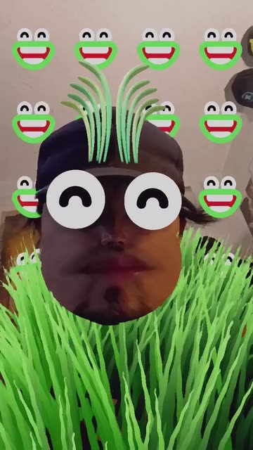 Preview for a Spotlight video that uses the A Froggy Place Lens