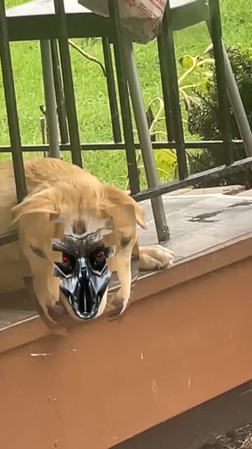 Preview for a Spotlight video that uses the Terminator Lens