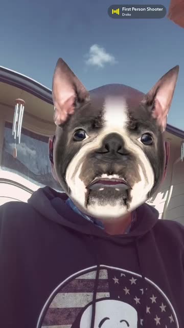 Preview for a Spotlight video that uses the FRENCHIE-DOGFACE Lens