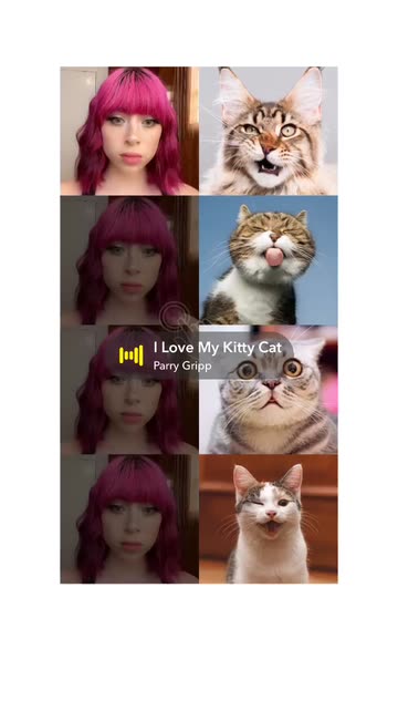 Preview for a Spotlight video that uses the Cat Match Lens