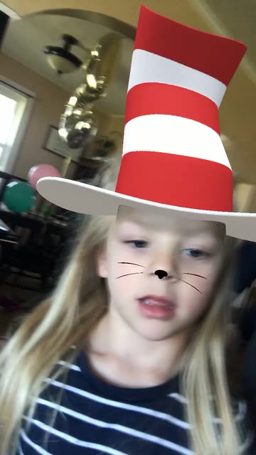 Preview for a Spotlight video that uses the Striped Hat Cats Lens