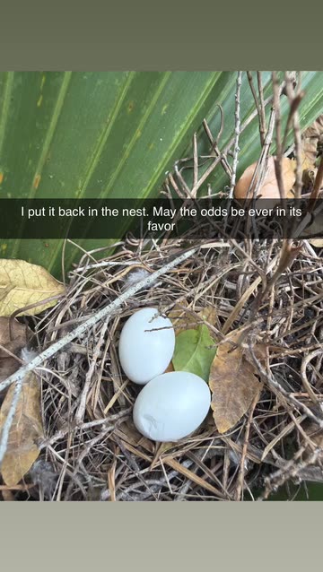 Bryce Neborb Foster