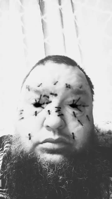 Preview for a Spotlight video that uses the Mahesh-Face-Ants Lens