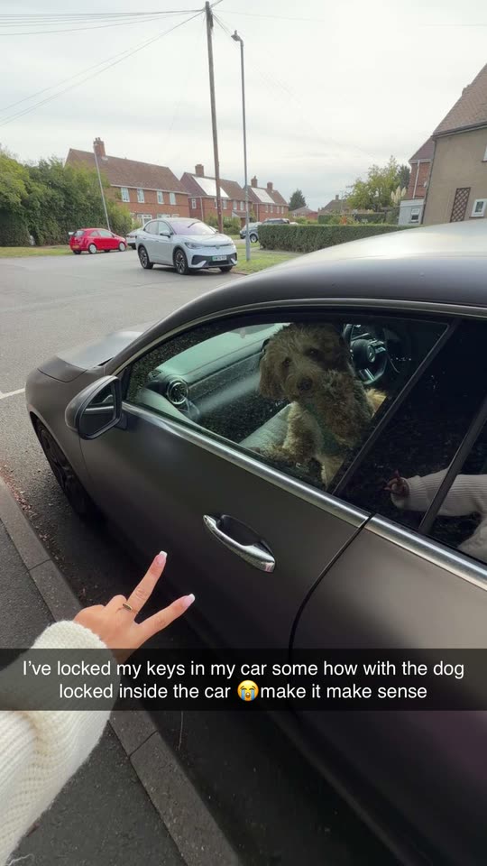 anna_williamsx4