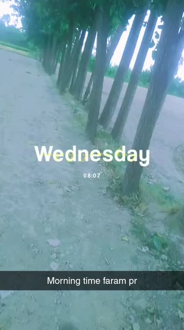 Preview for a Spotlight video that uses the Enjoy Day Lens
