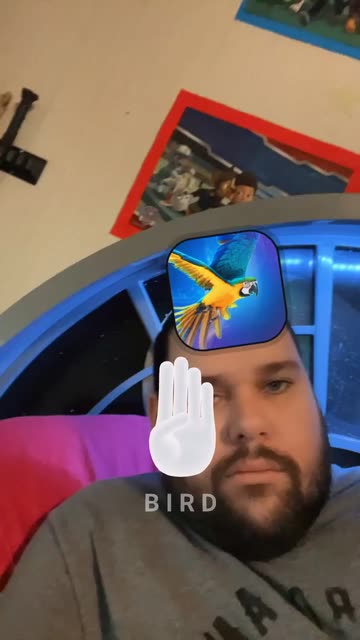 Preview for a Spotlight video that uses the Randomizer Fingerspelling  Lens