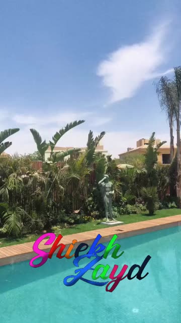 Preview for a Spotlight video that uses the Visto Lens