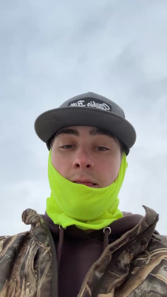 daltonelitzer