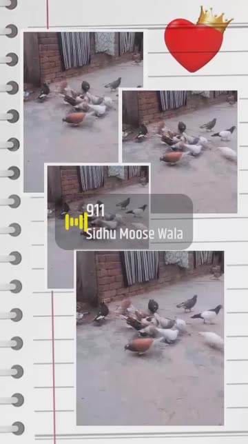 Preview for a Spotlight video that uses the Notebook Frame Lens