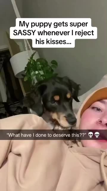 Spotlight content by a Snapchat user