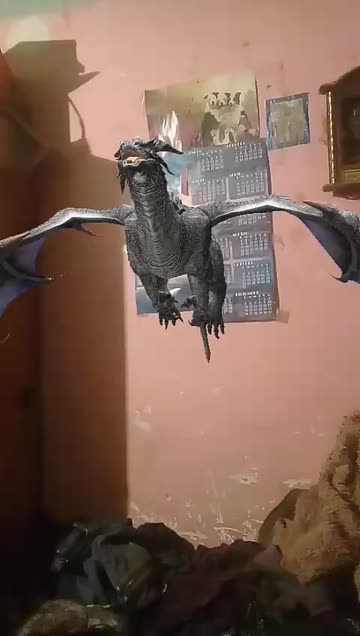 Preview for a Spotlight video that uses the Dragon Fly Lens
