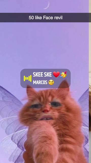 Standing Cat Meme Lens by Insyira - Snapchat Lenses and Filters