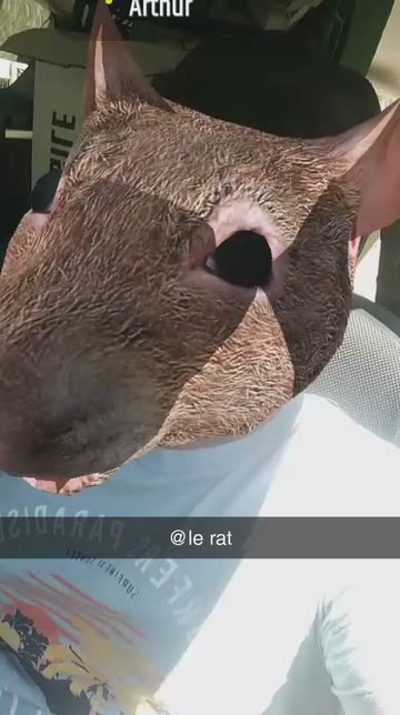 Preview for a Spotlight video that uses the Rat Head Lens