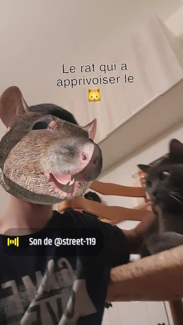 Preview for a Spotlight video that uses the Rat Head Lens