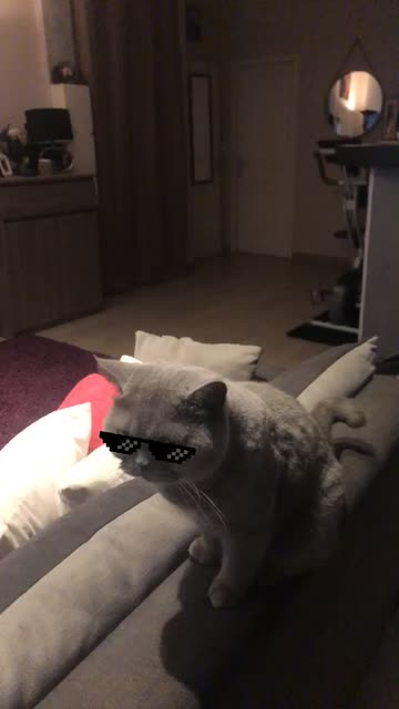 Preview for a Spotlight video that uses the Pixel Glasses Lens