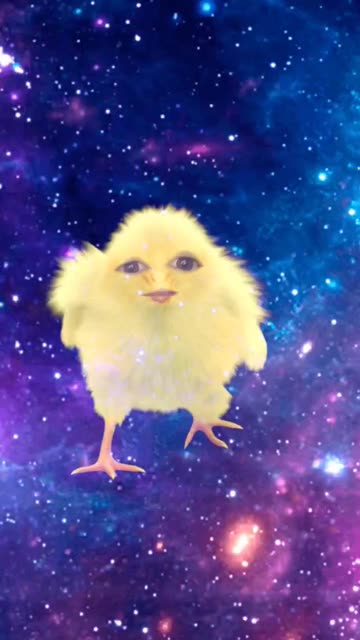 Preview for a Spotlight video that uses the Dancing Chicken Lens