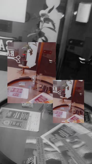 Preview for a Spotlight video that uses the Muted Collage Lens