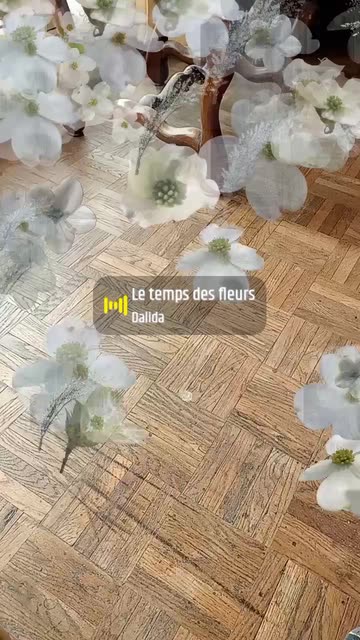 Preview for a Spotlight video that uses the Breakthru Springy Lens
