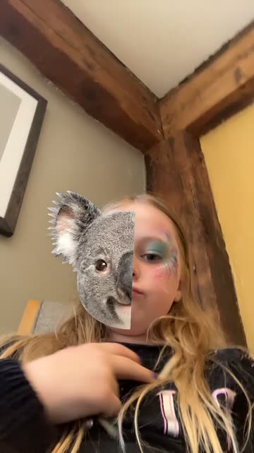 Preview for a Spotlight video that uses the Spirit Animal Lens
