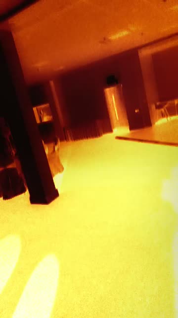 Preview for a Spotlight video that uses the Pumpkin Shader Lens