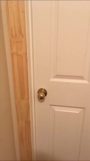 Preview for a Spotlight video that uses the Door opening Lens